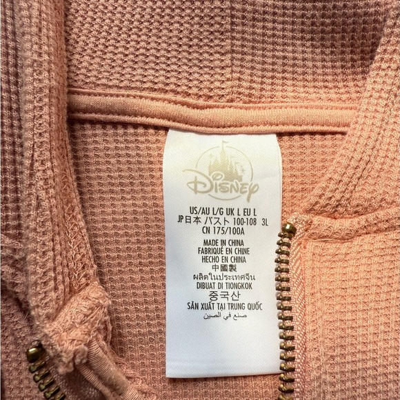 Disney Pink Hooded Sweatshirt with Jasmine Patch - Picture 3 of 14